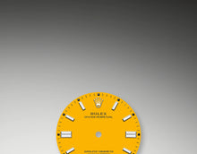 Load image into Gallery viewer, OYSTER PERPETUAL 36 Oyster, 36 mm, Oystersteel