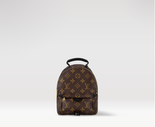 Load image into Gallery viewer, M44873 Palm Springs Mini