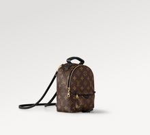 Load image into Gallery viewer, M44873 Palm Springs Mini