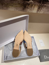 Load image into Gallery viewer, DIOR FLATS 4
