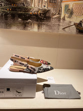 Load image into Gallery viewer, DIOR FLATS 4

