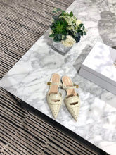 Load image into Gallery viewer, DIOR FLATS 25
