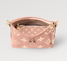 Load image into Gallery viewer, M46298 CarryAll PM
