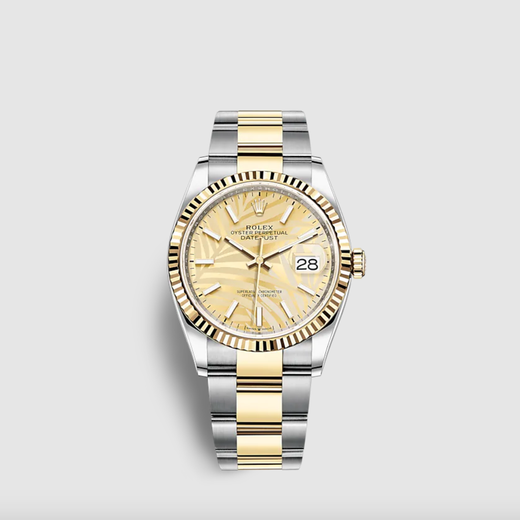 DATEJUST 36 New Model 2021 Oyster, 36 mm, Oystersteel and yellow gold